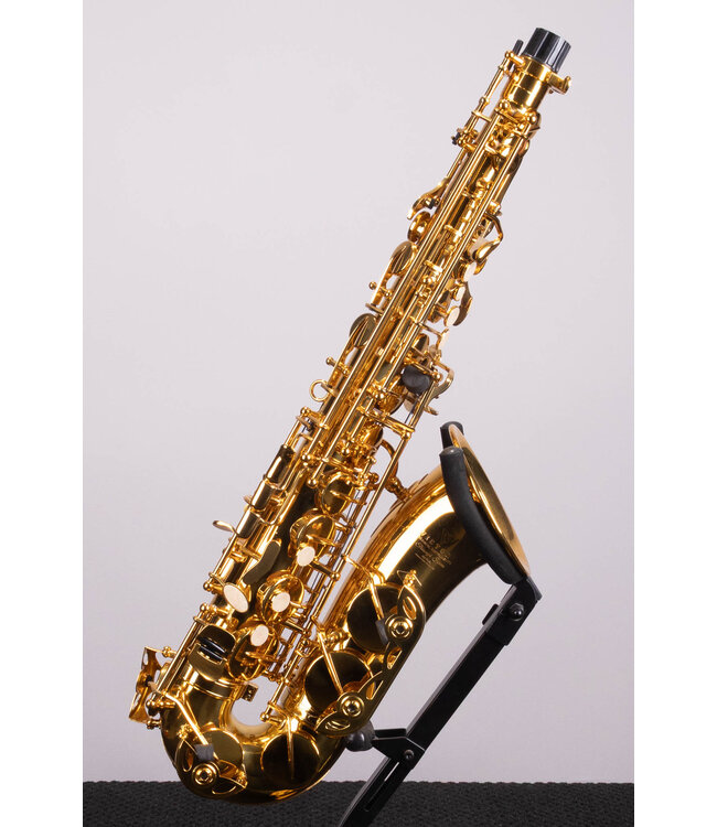 Victory Musical Instruments Triumph Series Student Eb Alto Saxophone - Gold Lacquer With Case and Mouthpiece