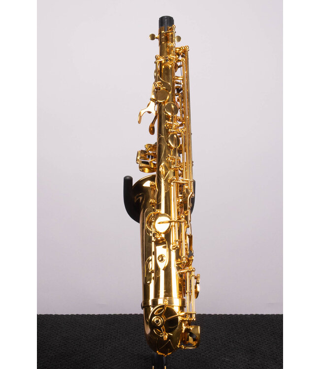 Victory Musical Instruments Triumph Series Student Eb Alto Saxophone - Gold Lacquer With Case and Mouthpiece