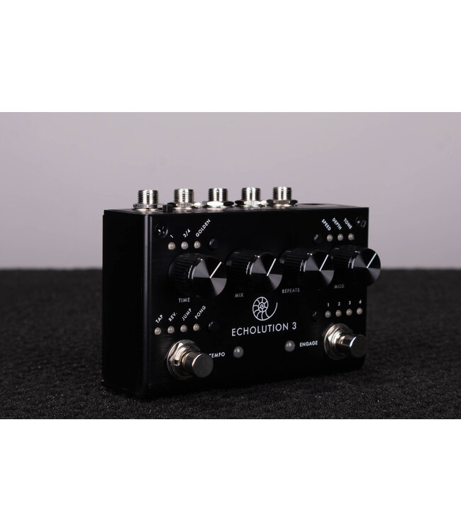 Pigtronix Echolution 3 Stereo Delay Pedal