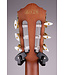 FRH10NNTF Thinline Nylon Acoustic-electric Guitar - Natural