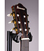 FRH10NNTF Thinline Nylon Acoustic-electric Guitar - Natural
