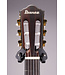 FRH10NNTF Thinline Nylon Acoustic-electric Guitar - Natural