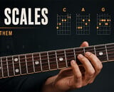 CAGED Scales: How to Learn Them