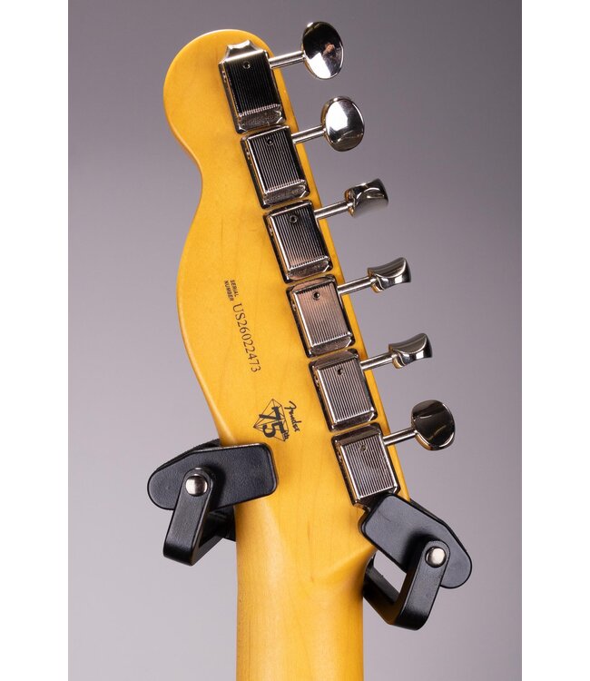 Fender American Professional Classic Telecaster - Butterscotch Blonde