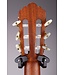 Yamaha GC22S Classical Guitar Natural with Solid Spruce Top