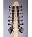Squier Paranormal Troy Van Leeuwen Telecaster® XII 12-String Electric Guitar - Copper