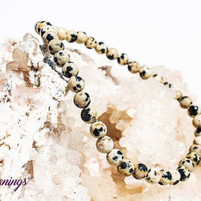 Dalmation Jasper Bracelet 4MM