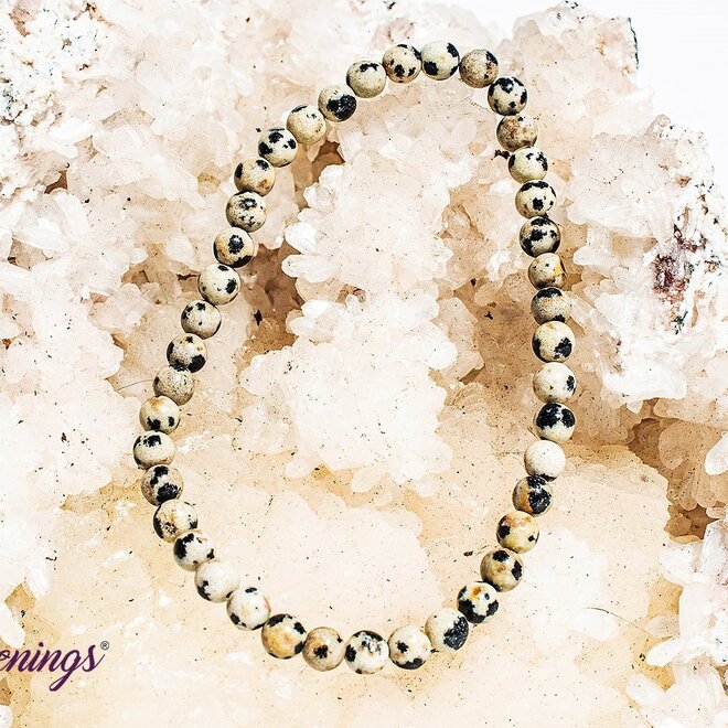 Dalmation Jasper Bracelet 4MM