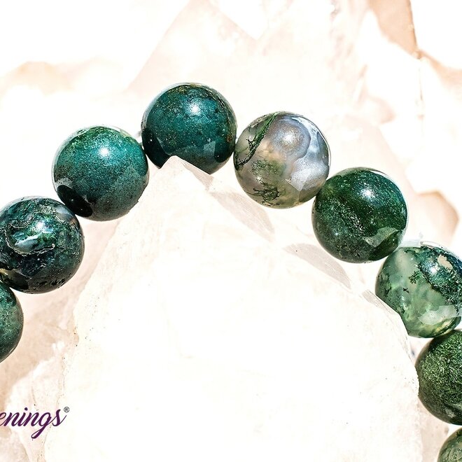 Moss Agate Bracelet 6 MM