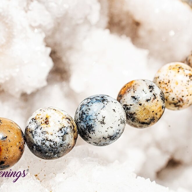 Dendritic Opal 8mm Bracelet