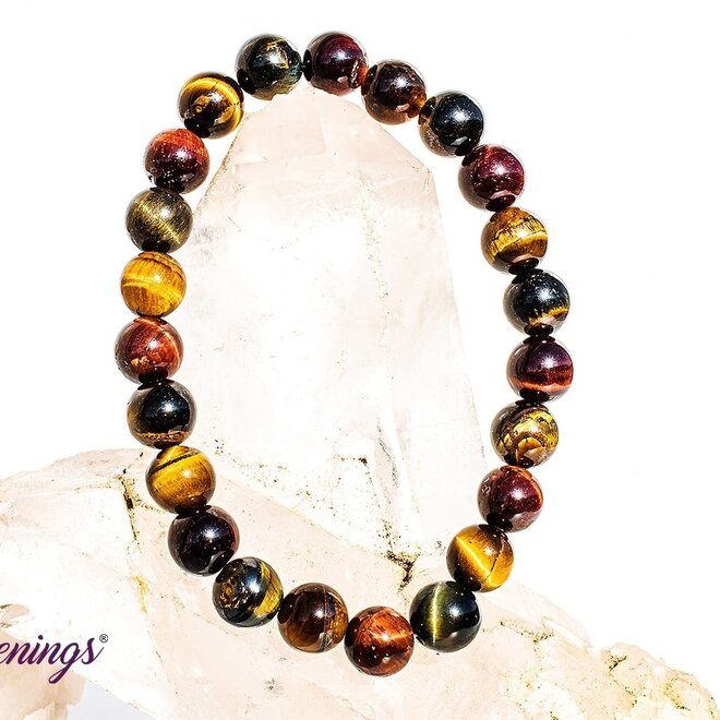 Multi Tiger's Eye Bracelet 6mm