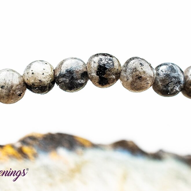 Black Labradorite Bracelet 4MM