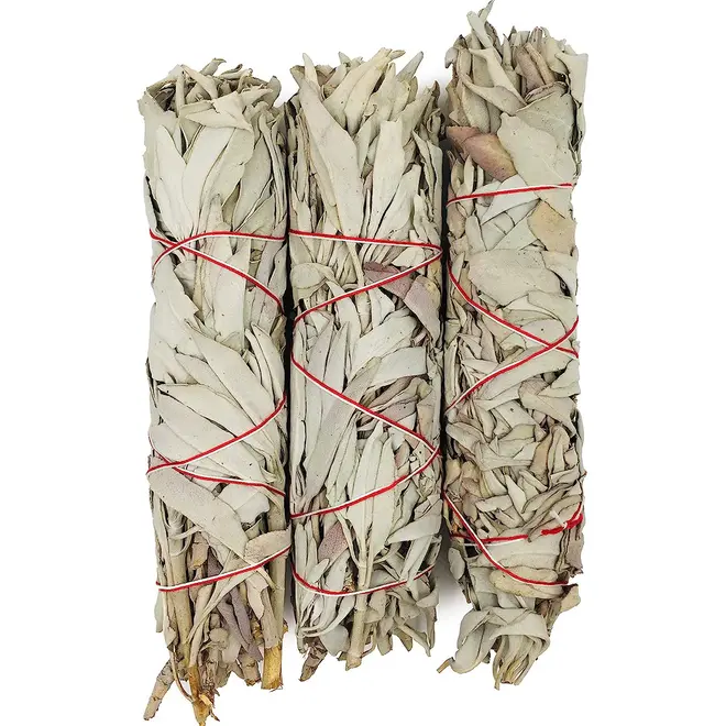 White Sage 8-9" Bundle