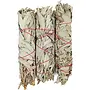 White Sage 8-9" Bundle