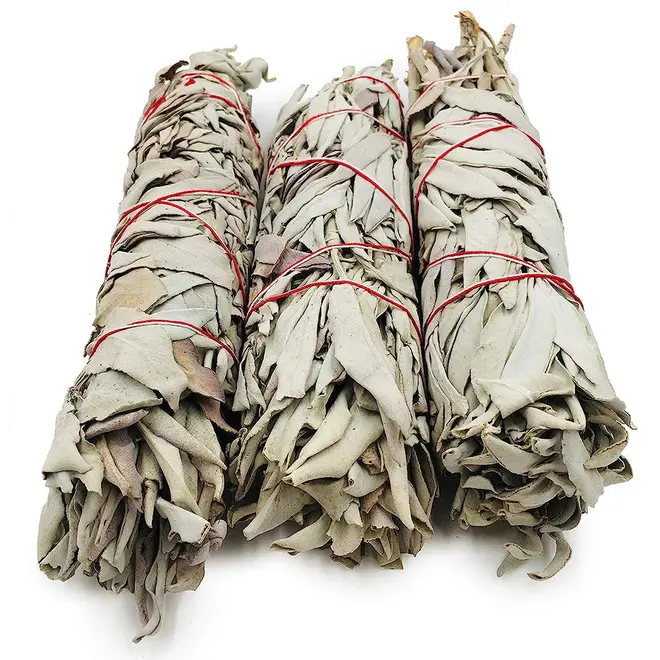 White Sage 8-9" Bundle