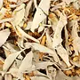 White Sage & Palo Santo Mix - 1oz - Full Moon Farms