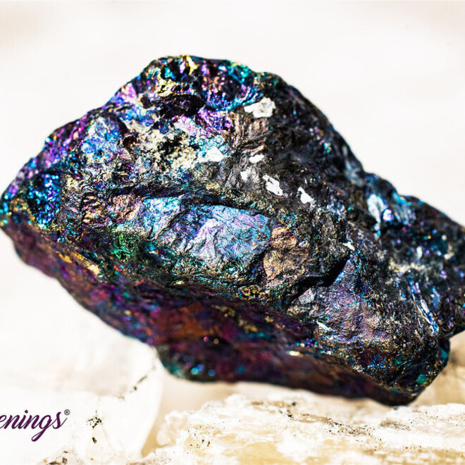 Peacock Ore (Chalcopyrite Bornite) Rough Small