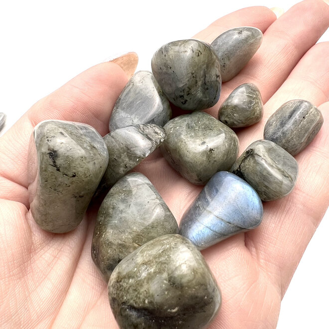 Peacock Blue Labradorite Tumbled SM