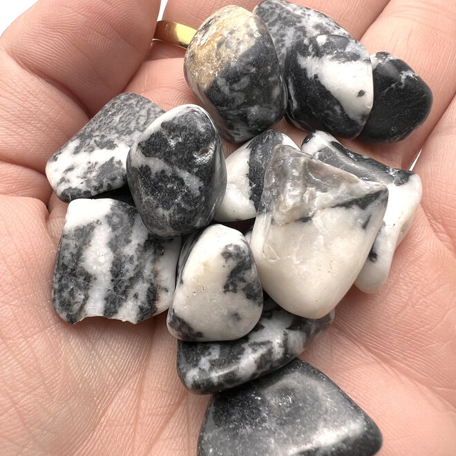 Zebra Jasper Tumble