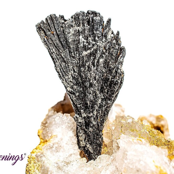 Black Kyanite Raw