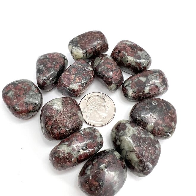 Eudialyte Tumbled