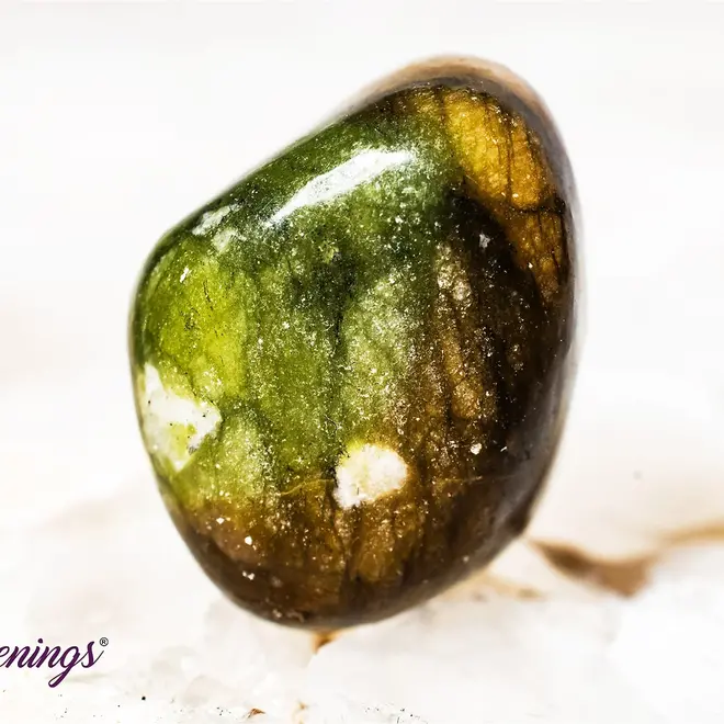 Olive Serpentine Tumbled Small/Peru