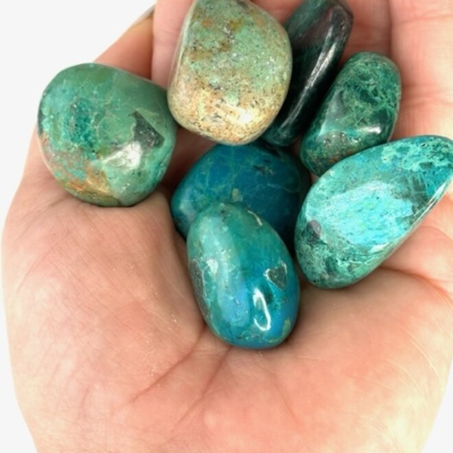 Chrysocolla Tumbled Medium