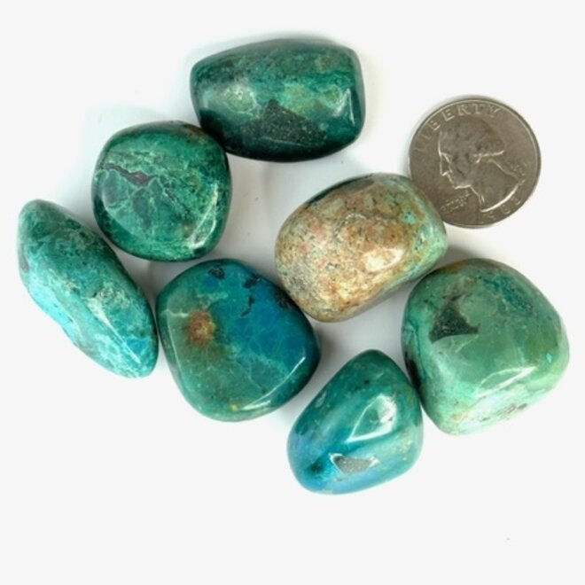 Chrysocolla Tumbled Medium