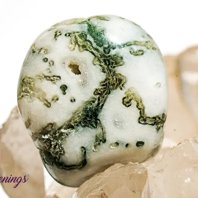 Tree Agate Large Tumble