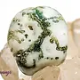 Tree Agate Large Tumble