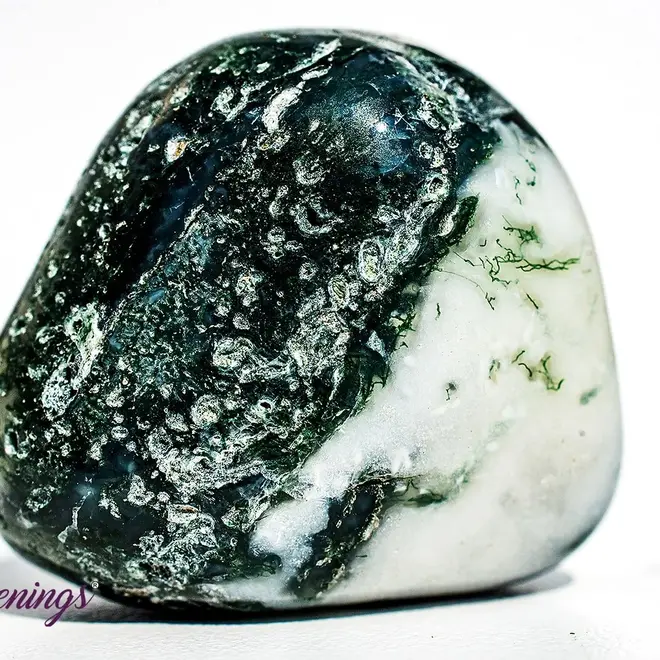 Tree Agate Large Tumble