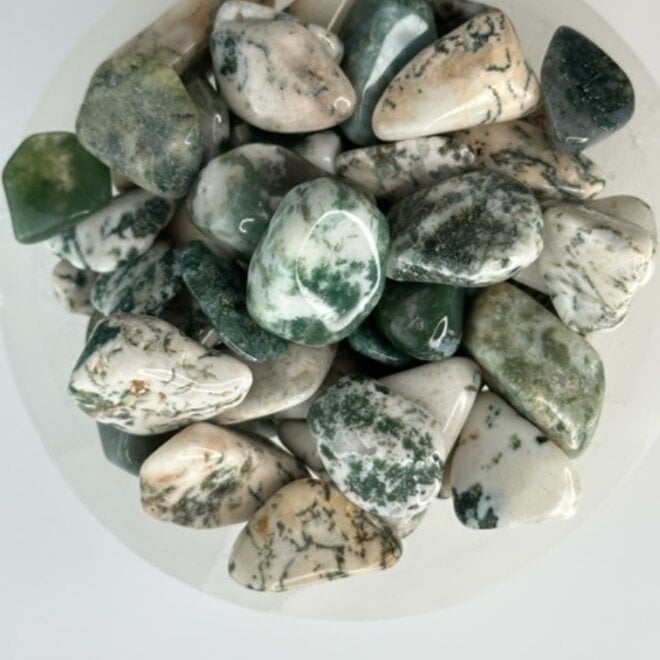 Tree Agate, Tumbled