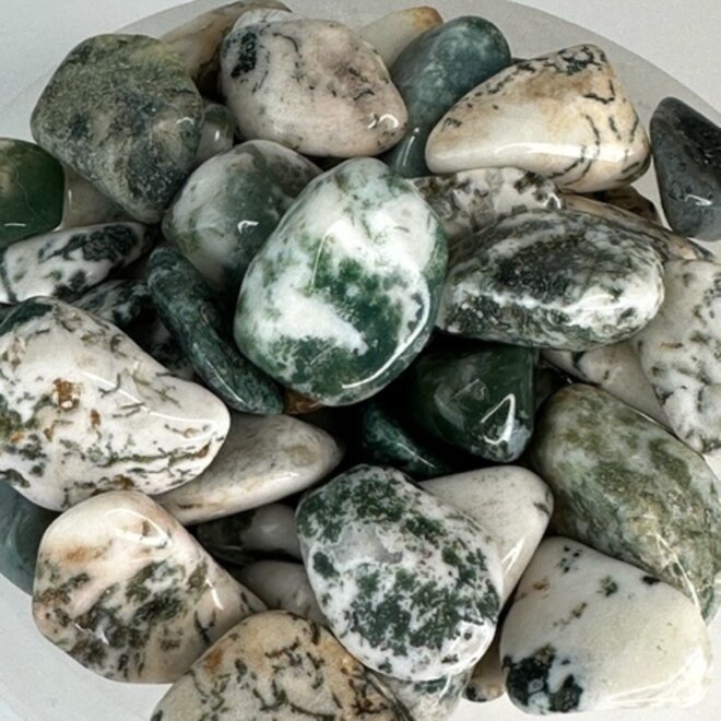 Tree Agate, Tumbled