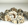 Moss Agate Rough XL
