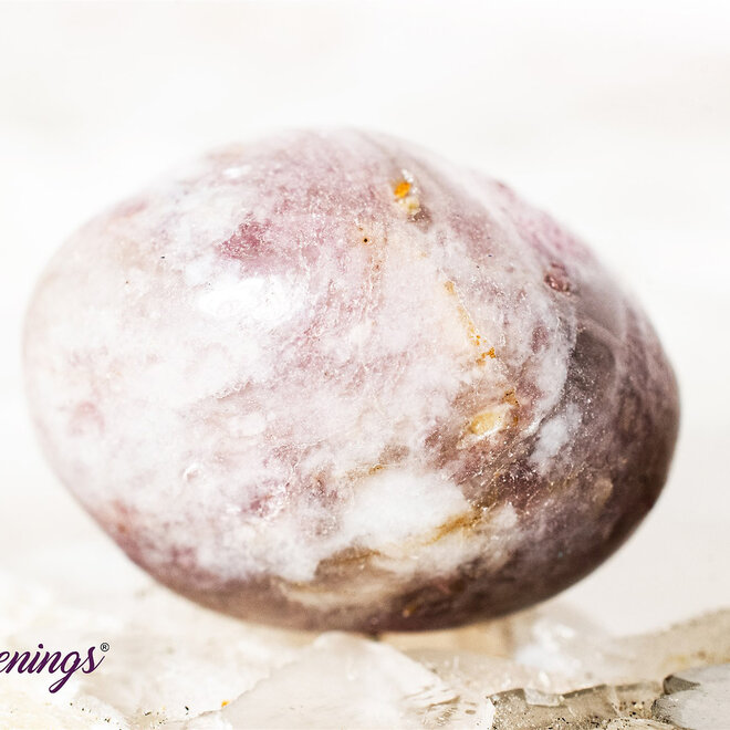 Unicorn Tumble/ Pink Ruby  (Rubellite) Tourmaline in Lepidolite