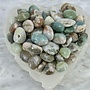 Green Flower Agate Tumble