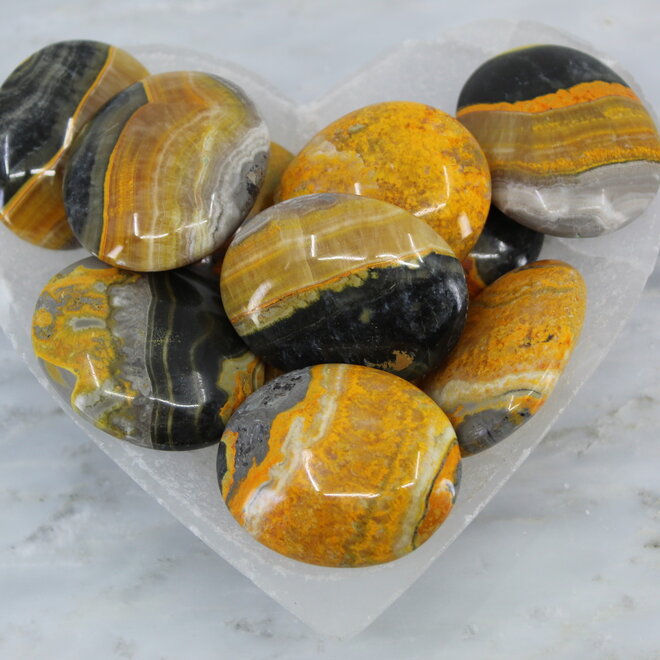 Bumblebee Jasper Pillow
