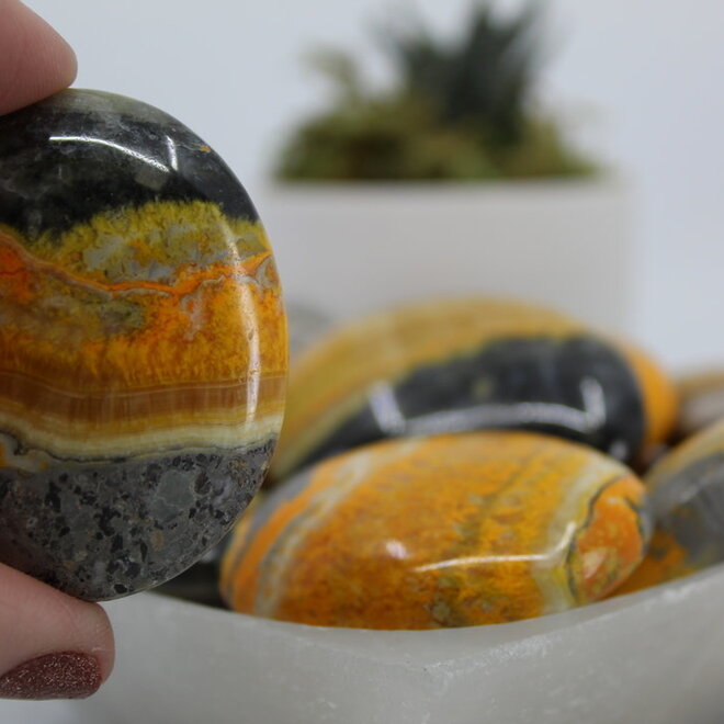 Bumblebee Jasper Pillow