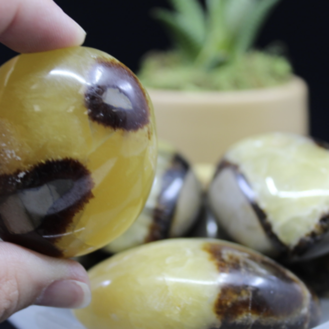 Septarian Jasper (Dragon Stone) Gallet  GRADE A
