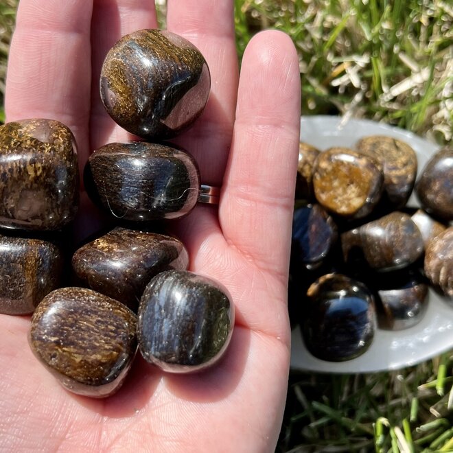 Bronzite Tumbled Round 20-25 MM