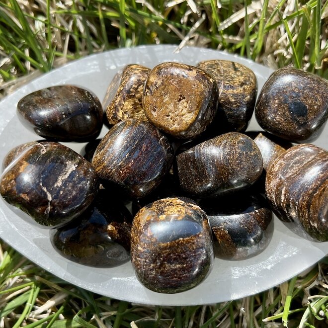 Bronzite Tumbled Round 20-25 MM