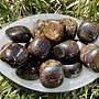 Bronzite Tumbled Round 20-25 MM