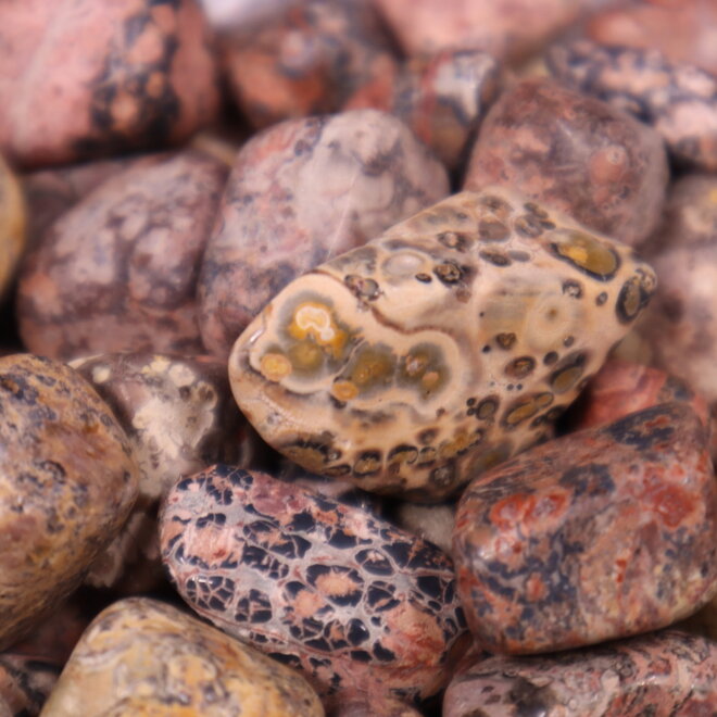 Leopard Skin Tumbled