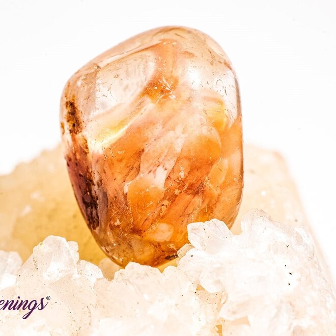 Amphibole Quartz