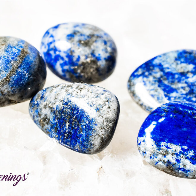 Lapis Lazuli - Small Tumbled