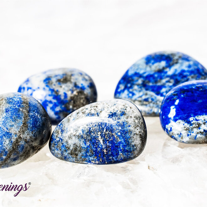 Lapis Lazuli - Small Tumbled