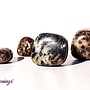 Astrophyllite Arfvedsonite Firework Garnet Tumble - Large