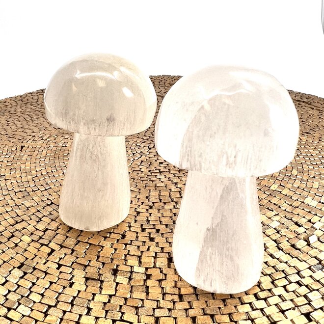 Selenite Mushroom