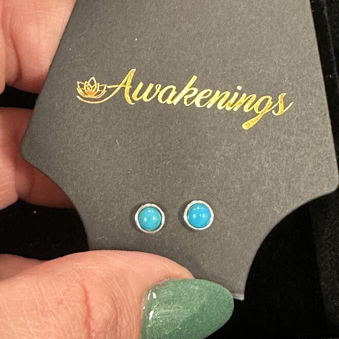 Turquoise Sterling Earring Studs