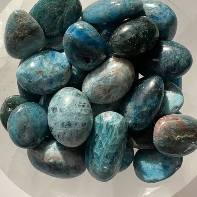 Blue Apatite Tumble Small